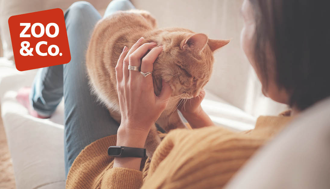 Tierbedarf-Sortiment beim ZOO & Co Tierfachhandel